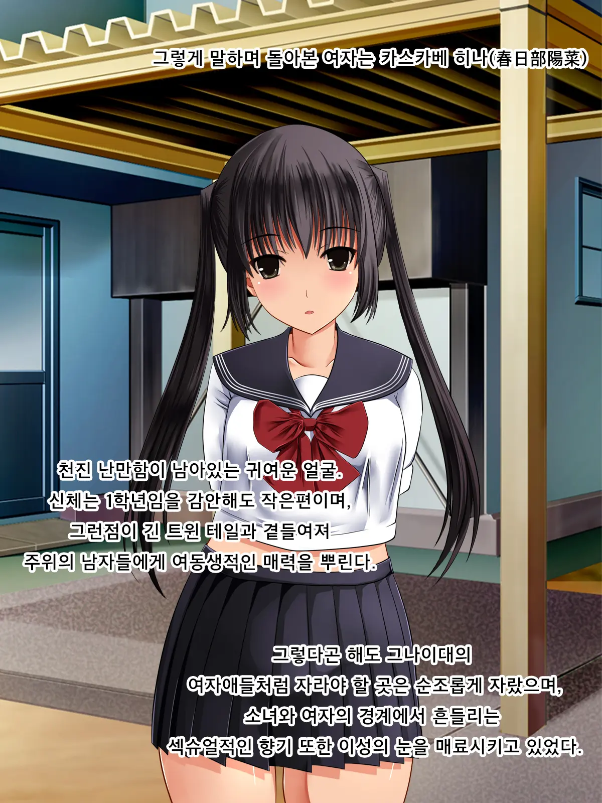 Twintail Bishoujo JK O Chuunen Youmuin Ga Zetsurin Nama Chinpo De Nakadashi Rape Shojo Soushitsu Jusei Sase Haramasete Kara Mo Chitsunai Shasei Sex Shitsuzukeru Hanashi
